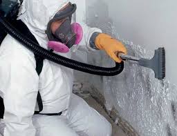 Best Water Damage & Mold Remediation  in Pierson, FL